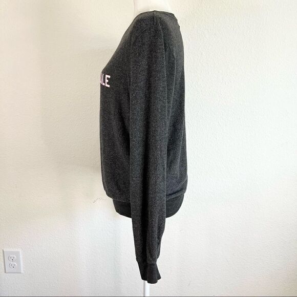 Wildfox Gray Fierce Female Brushed Knit Fleece Pullover Sweatshirt Small - Picture 3 of 7